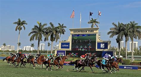 Gulfstream park program. 15 Mar 2024 ... Vinny from Real Dynasty Picks gives his horse racing best bets & most likely winners at Gulfstream Park for March 16-17, 2024. 