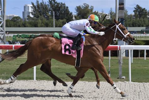 Thoroughbred Horse Racing lives in Hallandale Beach, Florida at Gulfstream Park. Book your tickets today and get in on the action!. 