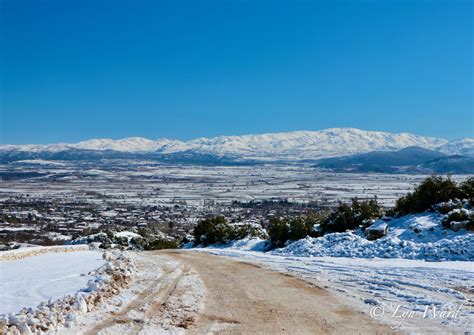 Gulhisar Halı ve Koltuk Yıkama