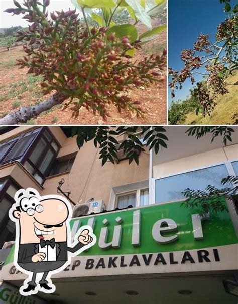 Gulluler Halı ve Koltuk Yıkama