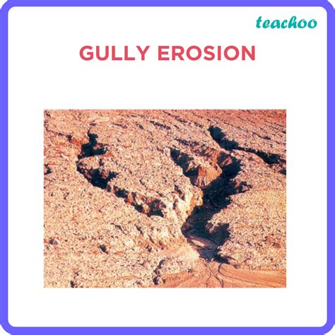 Gully