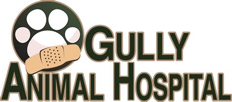Gully animal hospital. Things To Know About Gully animal hospital. 