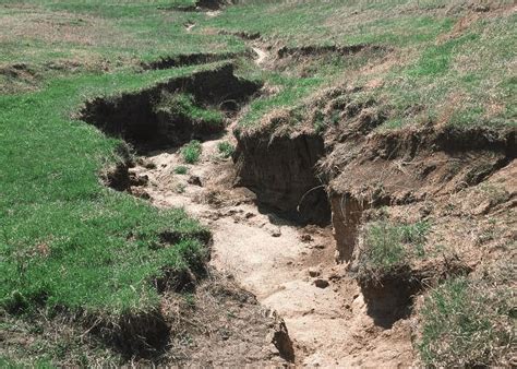 Gully erosion is an environmental problem in arid an