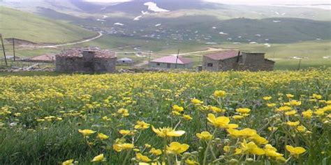 Gulyurdu Halı ve Koltuk Yıkama