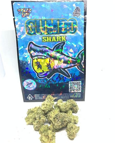 Gumbo shark strain. Gumbo strain is a slightly indica-leaning hybrid strain that's great for evening use. It's best used to boost appetite and mood, so if you're having trouble getting ahead of the curve at work, this could be the strain for you! ... Gumbo Shark strain: A hybrid strain that has the relaxing effects of indicas but also provides some energy to help ... 