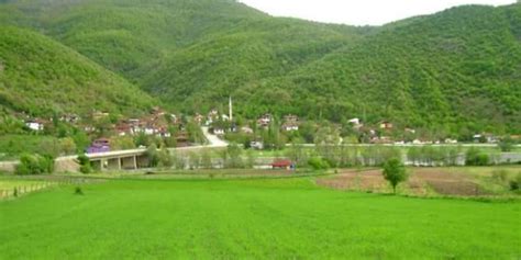 Gumeleonu Halı ve Koltuk Yıkama