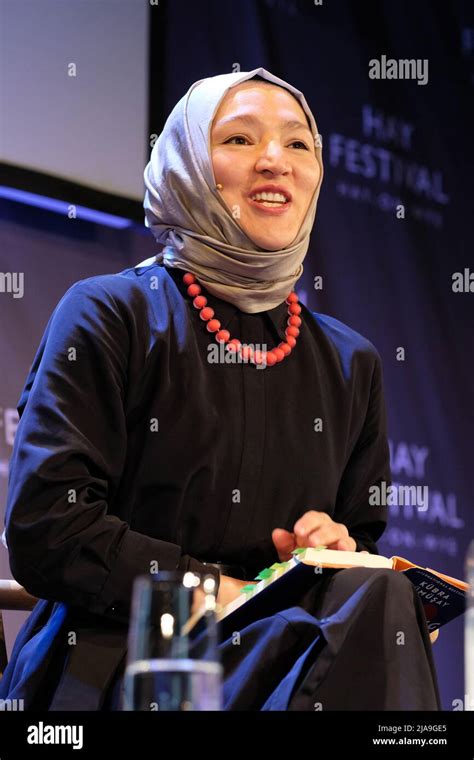 Gumusay Halı ve Koltuk Yıkama