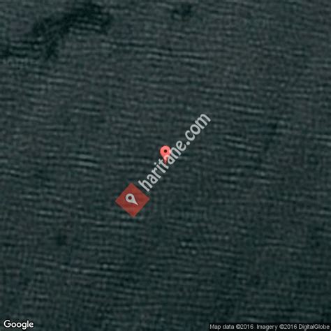 Gumusduven Halı ve Koltuk Yıkama