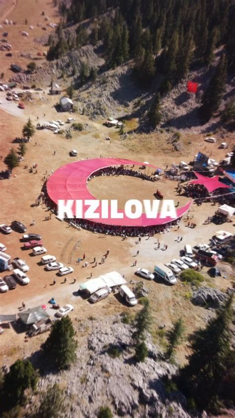 Gumuskavak Halı ve Koltuk Yıkama