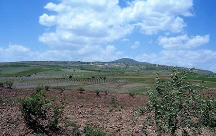 Gumusyazi Halı ve Koltuk Yıkama