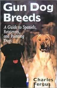Gun dog breeds a guide to spaniels retrievers and pointing dogs. - Estrutura e formação das classes sociais na bahia.