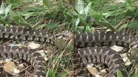 Gunbagi Halı ve Koltuk Yıkama