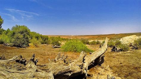 Guneri Halı ve Koltuk Yıkama