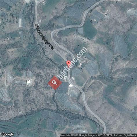 Guneybahsis Halı ve Koltuk Yıkama