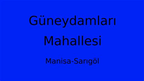 Guneydamlari Halı ve Koltuk Yıkama