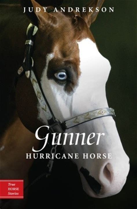 Full Download Gunner Hurricane Horse By Judy Andrekson
