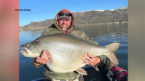 Gunnison man reels in pending world record-breaking trout