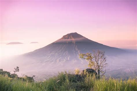 Gunung temanggung daerah mana. .  <a href=https://agent5.ru/si1vzcx/flowers-...