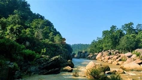 474px x 266px - Gupteswar Forest of Koraput district declared as Odhishas fourth  biodiversity heritage site