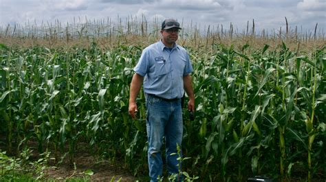 Guth Farms finds success no-till planting vegetables into cover crops