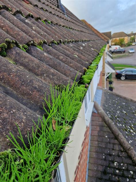 Gutter Cleaning Services in Rayleigh