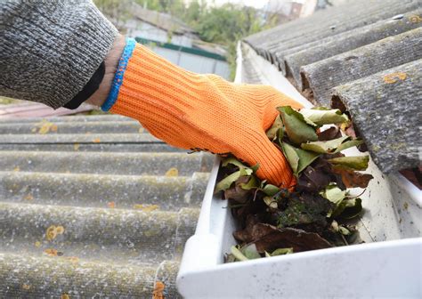 Gutter cleaning. 28 Sept 2019 ... Cleaning leaves and debris from your gutters is a small project that can save you from some big headaches later. We'll show you how to clean ... 