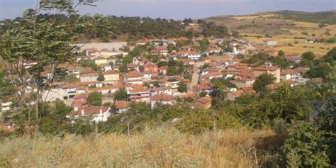 Guvemcetmi Halı ve Koltuk Yıkama