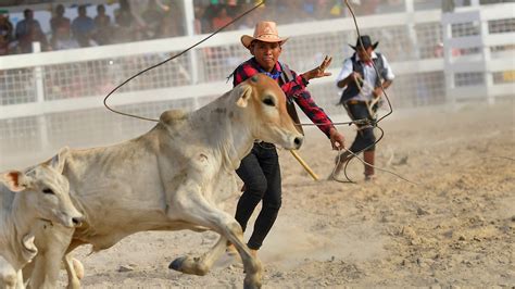 Guyana’s Rupununi Rodeo celebrates local cowboy culture