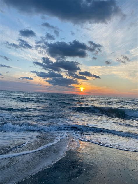 Guzel Halı ve Koltuk Yıkama