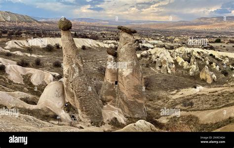 Guzeller Halı ve Koltuk Yıkama