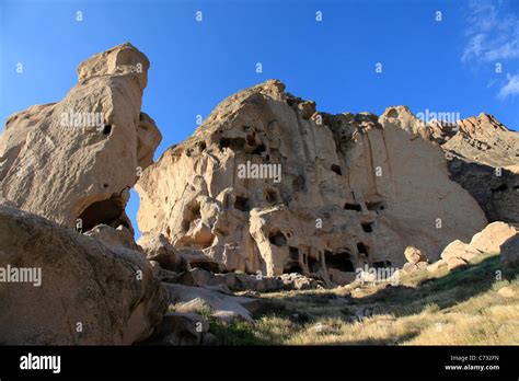 Guzeloz Halı ve Koltuk Yıkama