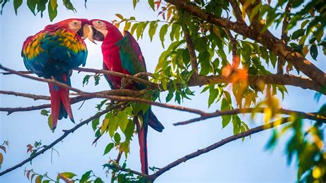 Gyanne Leaks [SEX VIDEO] 186 Videos