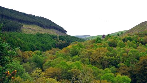 Gyfylchi Ridgetop Trail - Afan Forest Park