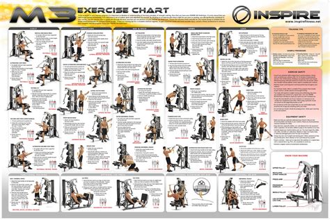 Gym Exercise Plan Chart Tutorial Pics