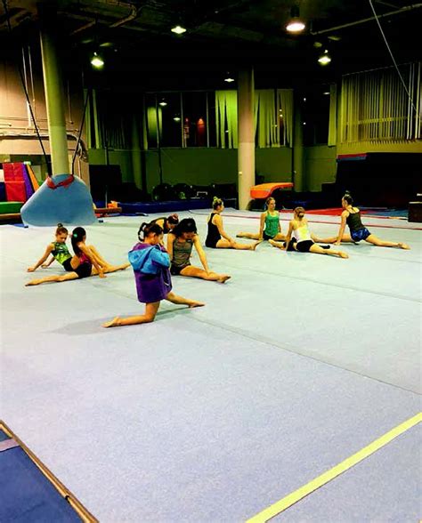 Gymnasts soar with competitive team Local News