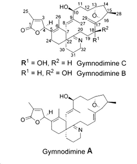 Gymnodimine A Structure And Its Analogues B And C Structure De La Download Scientific Diagram