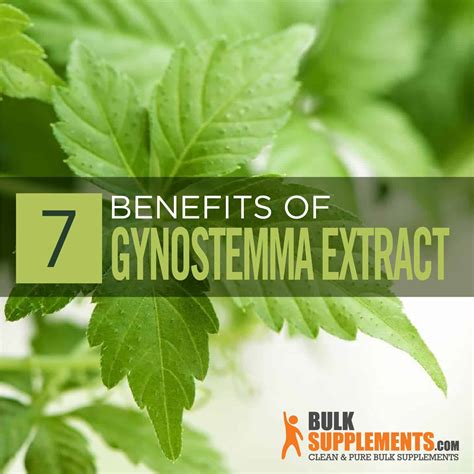 Gynostemma: The Health Benefits of Gynostemma Pentaphyllum