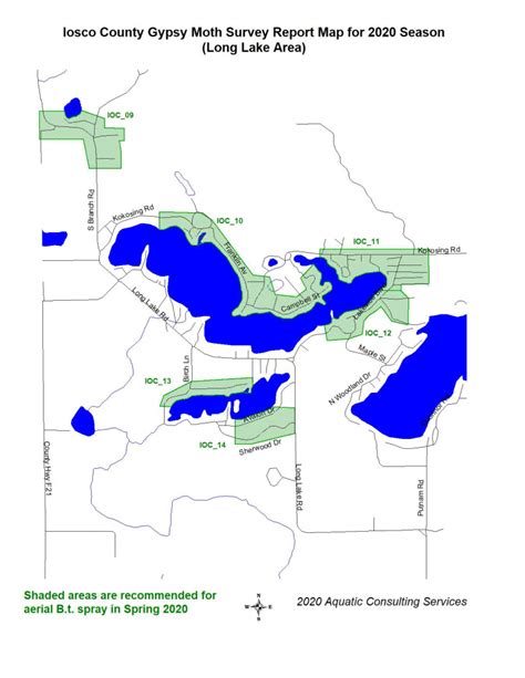 Gypsum Moth Program – Plainfield Township