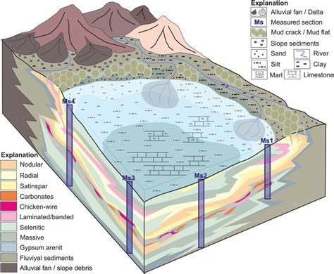 Gypsum depositional environment. Coal is a _____ sedimentary rock that was originally formed in a _____ depositional environment. a.clastic, marine b.chemical, terrestrial c.biogenic, marine d.biogenic, terrestrial 2._____ is a biogenic sedimentary rock formed from the accumulation of silica-walled marine algae called diatoms. ... a.Gypsum b.Chert c.Coal d.Limestone 3.Shale ... 