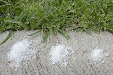 Gypsum for lawns. Things To Know About Gypsum for lawns. 