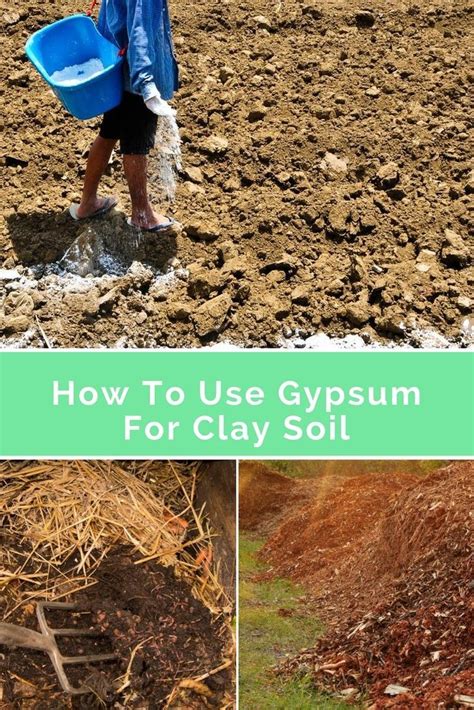 Gypsum in soil. Gypsum is a relatively common mineral that is widely available in agricultural areas and has a number of specialized agronomic uses, principally as a Ca source on legumes and as a … 