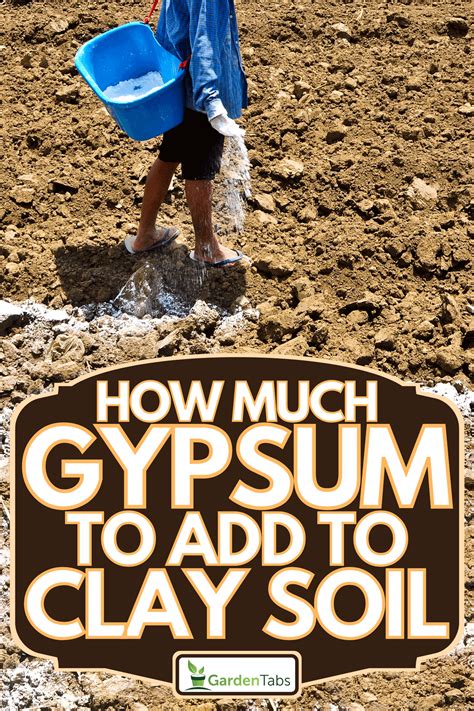 Gypsum to soil. The Role of Gypsum as a Soil Amendment. Gypsum is hydrated calcium sulfate (CaSO 4 • 2H 2 O), and is often marketed as a soil “conditioner” for improving soil “tilth.”. Compared to most other calcium-rich soil amendments, such as limestone, gypsum is relatively soluble in water, dissolving up to 2 g per liter. 