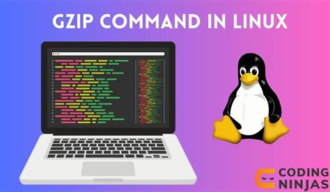 Gzip Command in Linux - GeeksforGeeks (2024)
