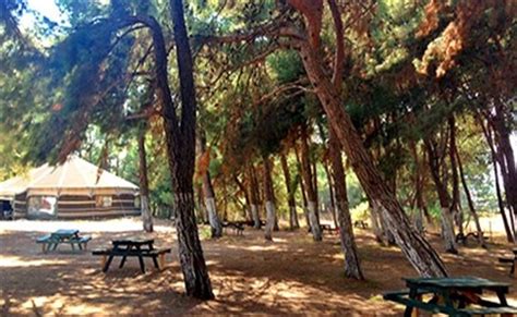 Hüseyinoğulları Piknik Alanı Kaynaklar Cumhuriyet Mh., 35395 Buca/İzmir.