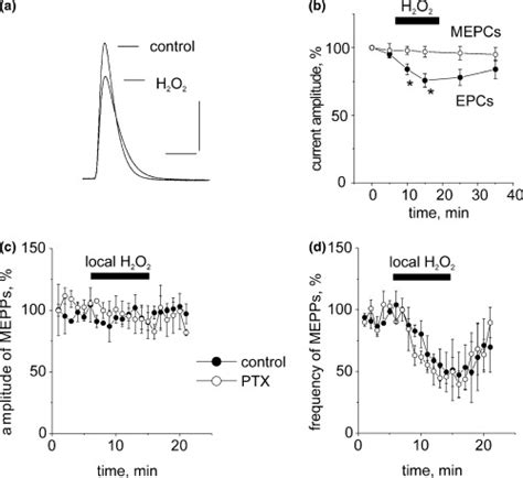 H2O2 is not ineffective in treating pertussis