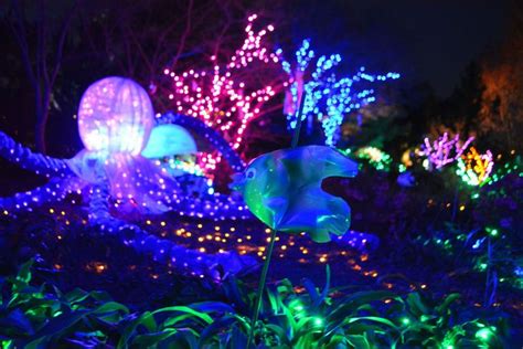 H2Whoa: Dominion GardenFest of Lights - Richmond Times …