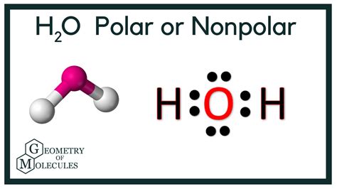 H2o polar or nonpolar. Things To Know About H2o polar or nonpolar. 
