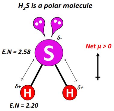 H2s polar or non polar. .  <a href=https://ballards.5stardesigners.net/assets/uft9/...