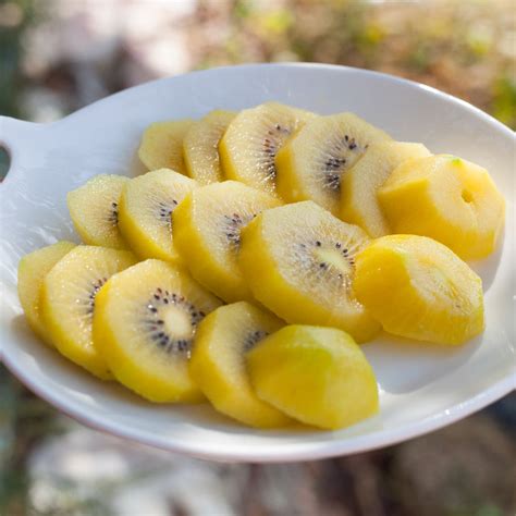 💦 H4Jdu Zsof1 Onlyfans Leaked [SEX VIDEO] 207 Pics