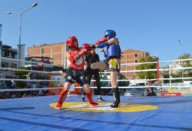 codini.rgarabwor.edu.pl. 